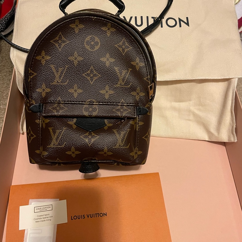 LV Palm Springs mini backpack